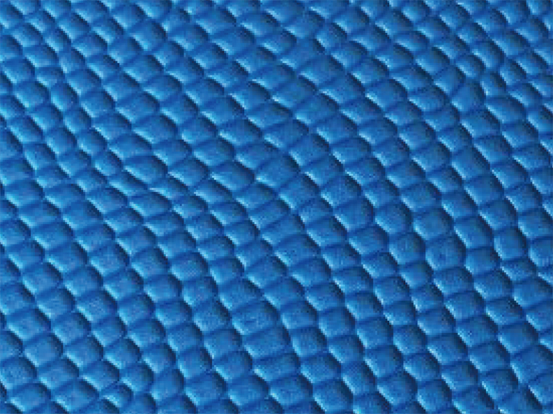 R065. Snake